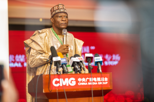 Professor Abdul-Rasheed Na’Allah, Vice-Chancellor of the University of Abuja