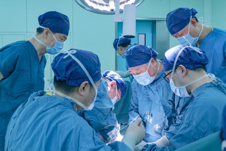 (240403) -- XI'AN, April 3, 2024 (Xinhua) -- A team led by Qin Weijun, a doctor at Xijing Hospital of the Air Force Medical University, performs a surgery to transplant a genetically modified pig kidney into a brain-dead recipient at the hospital in Xi'an, northwest China's Shaanxi Province, March 25, 2024. TO GO WITH "China Focus: Chinese researchers transplant gene-edited pig kidney into human body" (Xijing Hospital of the Air Force Medical University/Handout via Xinhua)