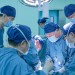 (240403) -- XI'AN, April 3, 2024 (Xinhua) -- A team led by Qin Weijun, a doctor at Xijing Hospital of the Air Force Medical University, performs a surgery to transplant a genetically modified pig kidney into a brain-dead recipient at the hospital in Xi'an, northwest China's Shaanxi Province, March 25, 2024. TO GO WITH "China Focus: Chinese researchers transplant gene-edited pig kidney into human body" (Xijing Hospital of the Air Force Medical University/Handout via Xinhua)